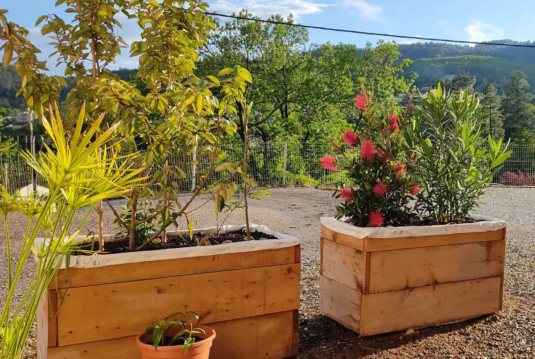 Vue de deux jardinières fabriquées avec du bois de récupération à Lamalou-les-Bains et dans lesquelles ont été plantées différents arbustes pour favoriser la biodiversité