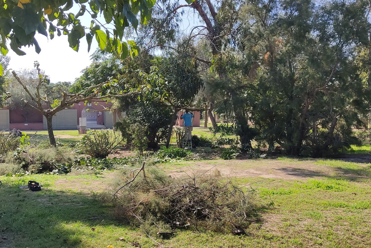 Jardinier et services entretien de jardin