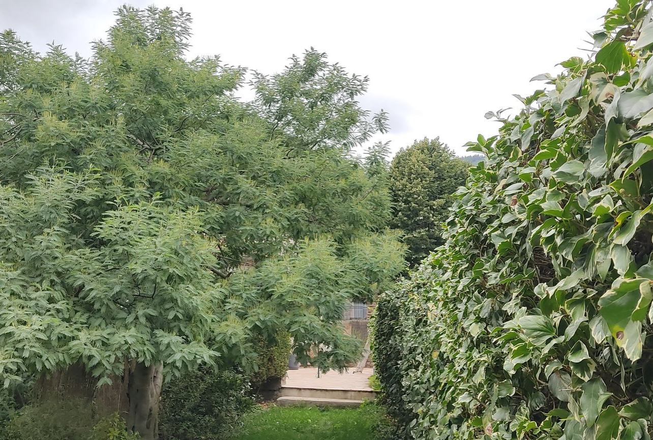 Jardinier et services entretien de jardin