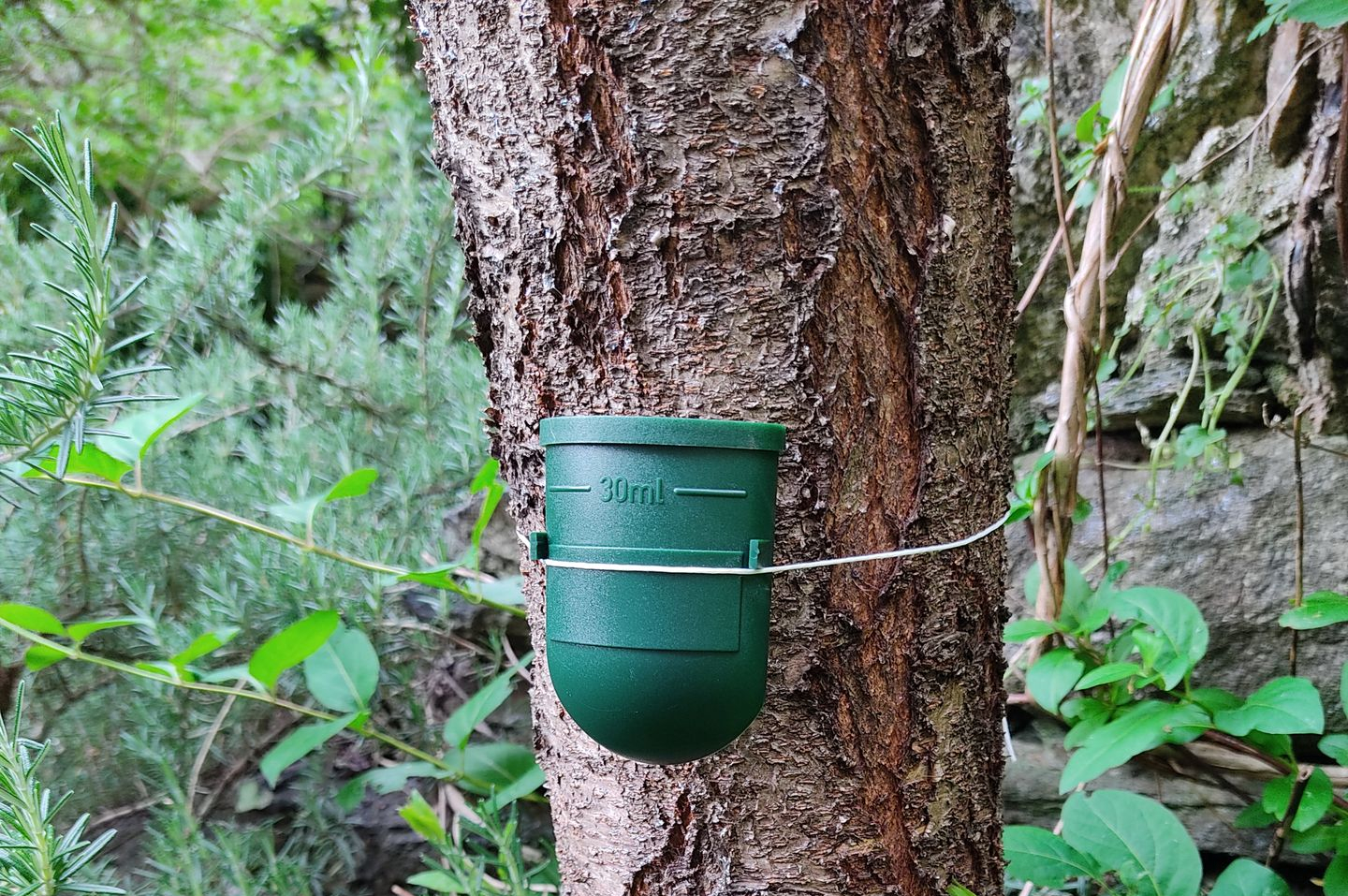 Jardinier et services entretien de jardin