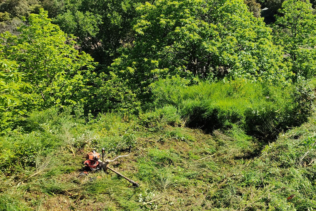 Jardinier et services entretien de jardin