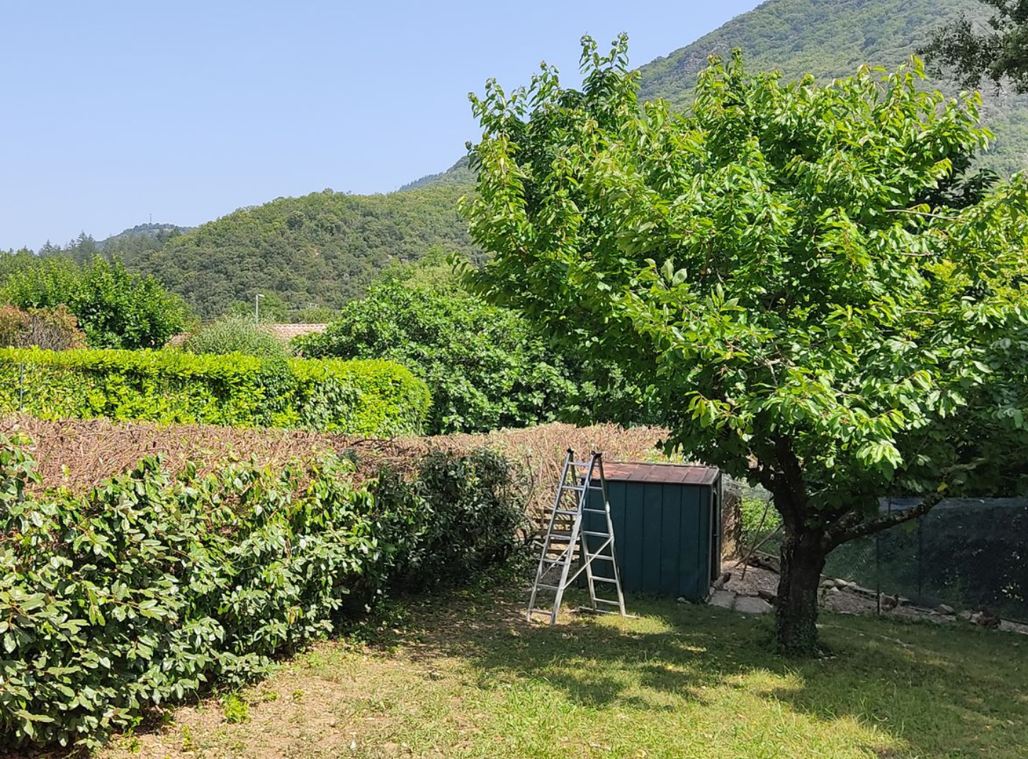 Jardinier et services de taille